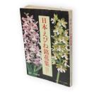 日本えびね銘花集　全国の栽培法付