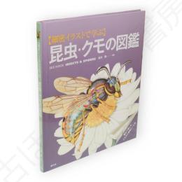 〈細密イラストで学ぶ〉昆虫・クモの図鑑