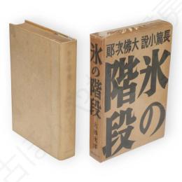 氷の階段 : 長編小説