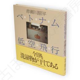 ベトナム低空飛行