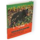 ツキノワグマのいる森へ