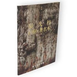 屋久杉巨樹・著名木