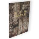 屋久杉巨樹・著名木