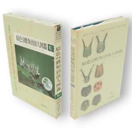 原色日本蝶類幼虫大図鑑　VOL.1