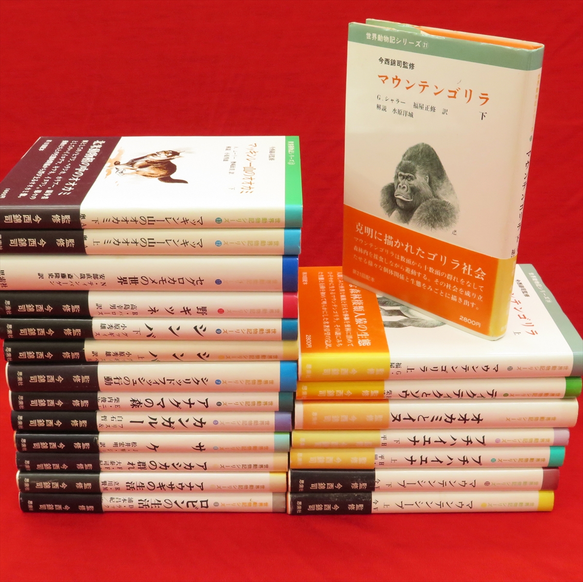 世界動物記シリーズ 1-21 21冊組(今西錦司監修) / 古本、中古本、古 