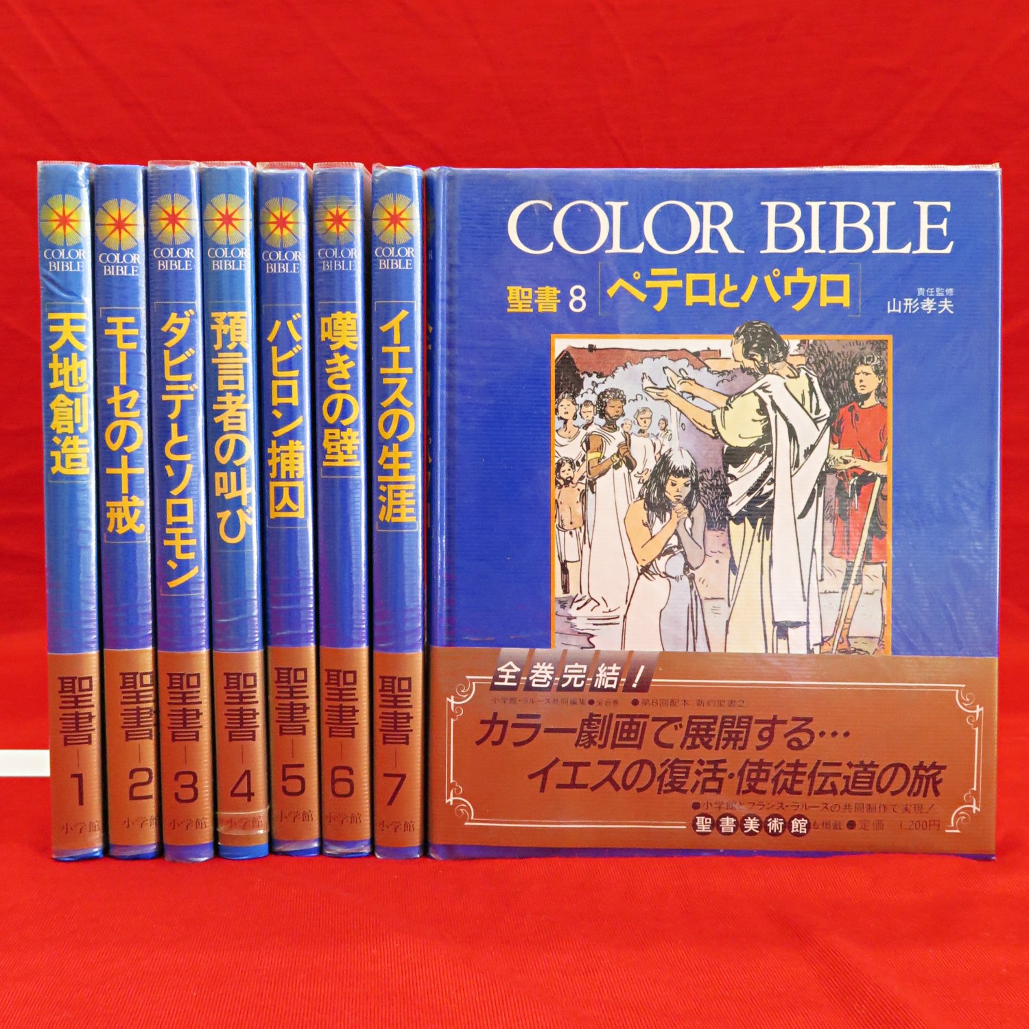 COLOR BIBLE 聖書 全8冊 / 古本、中古本、古書籍の通販は「日本
