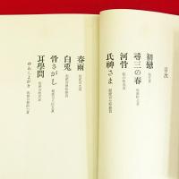 耳学問