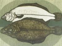 原田拓版画「魚（鰈）」