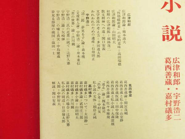 私小説 （広津和郎・宇野浩二・葛西善蔵・嘉村礒多） 日本文学