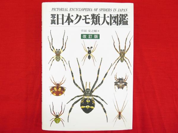 写真 日本クモ類大図鑑 改訂版 千国安之輔 著 古本 中古本 古書籍の通販は 日本の古本屋 日本の古本屋