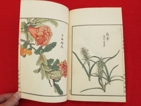 草花百種　全4冊 草花百種 4冊(幸野楳嶺) / 古本、中古本、古書籍の通販は「日本