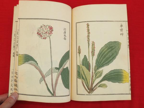 草花百種　全4冊 草花百種全4冊