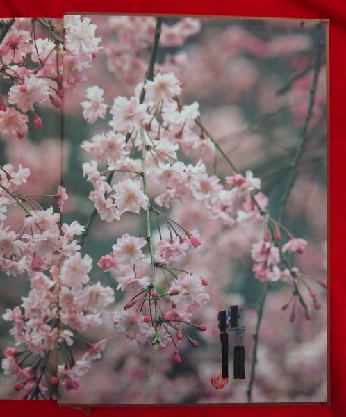 卆寿白吉兆(湯木貞一著 ; 入江泰吉写真) / 古本、中古本、古書籍