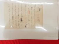 近代文学手稿100選