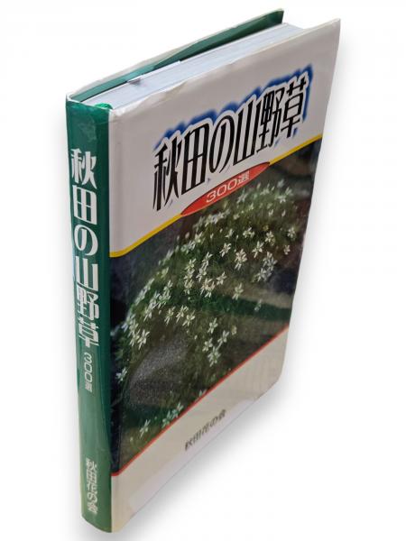 草の実とり(関野潤一郎) / 古ほんや 板澤書房 / 古本、中古本