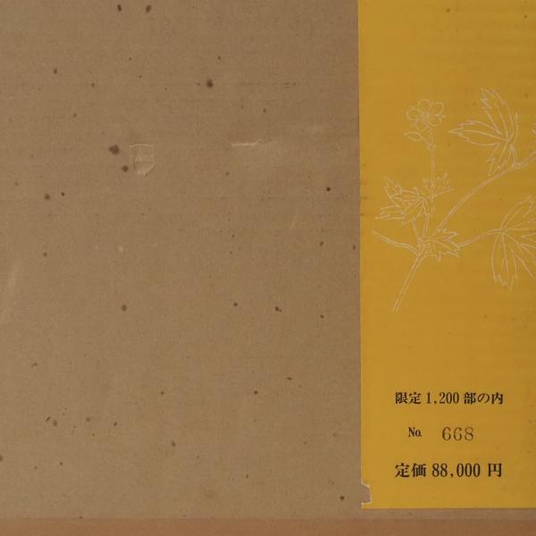 草木染日本の色百二十色(山崎青樹 著) / 古本、中古本、古書籍の