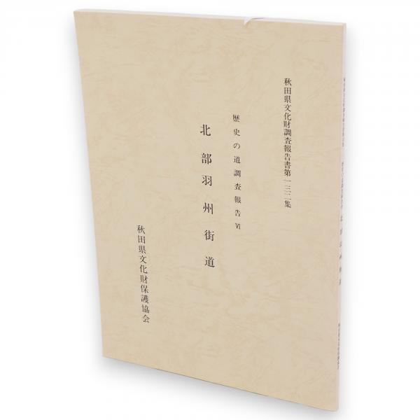 Amazon.co.jp: 『 宮城県文化財調査報告書第184集 市川橋遺跡の