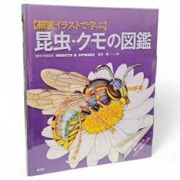 〈細密イラストで学ぶ〉昆虫・クモの図鑑