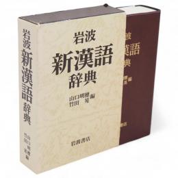 岩波新漢語辞典