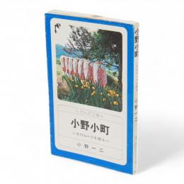 小野小町 : そのルーツを探る　んだんだ文庫4