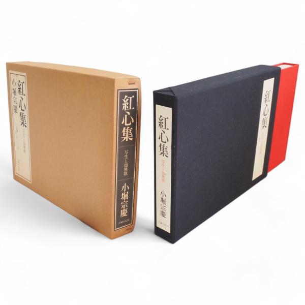 Amazon.co.jp: ランボー全詩集 (河出文庫) eBook : アルチュール
