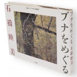 ブナをめぐる