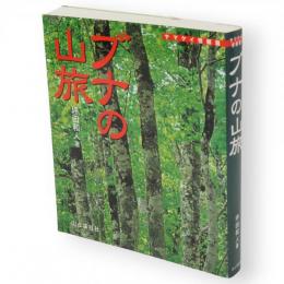 ブナの山旅　ヤマケイ情報箱