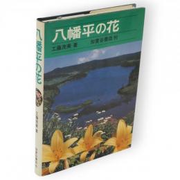 八幡平の花