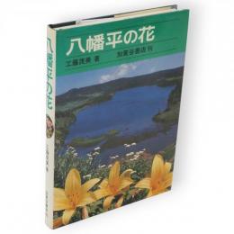八幡平の花