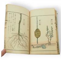 菓木栽培法　1-4　4冊組