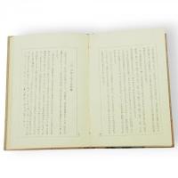 浅草裏譚　市場叢書第一編