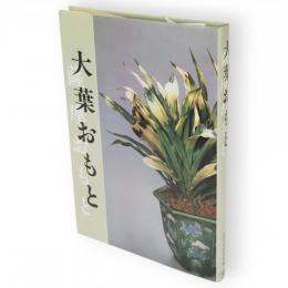 大葉おもと : 薩摩おもと