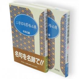 二字名句墨場必携　続共2冊