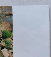 映画パンフレット　２種２冊セット　マッケンナの黄金　グレゴリー・ペック/オマー・シャリフ