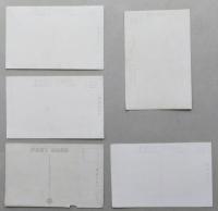 戦前絵葉書　彩色　秋田市の風光5枚【川反通りの夜景 広小路通り 千秋公園のつつぢ 竿灯 秋田の蕗と美人】