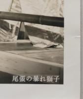 映画スチール３枚　東映 大友柳太郎　丹下左膳 濡れ燕一刀流 2枚／尾張の暴れ獅子1枚