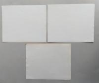 映画スチール３枚　東映 大友柳太郎　丹下左膳 濡れ燕一刀流 2枚／尾張の暴れ獅子1枚