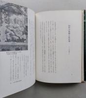 道祖神のふるさと 性の石神と民間習俗