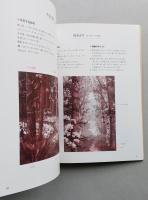 押し花で描く風景　