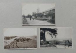 戦前絵葉書３枚 (山形県) 新庄小学校/庄墟野原陸軍軍馬補充部/庄公園ヨリ中学校並ニ小学校ヲ望ム