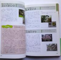 千秋公園樹木ガイド【画像4枚掲載】　　