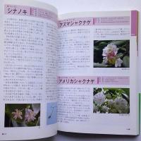 千秋公園樹木ガイド【画像4枚掲載】　　