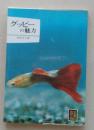 グッピーの魅力　カラーブックス 　　
