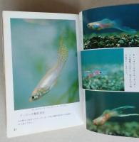 グッピーの魅力　カラーブックス 　　