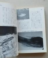 グッピーの魅力　カラーブックス 　　