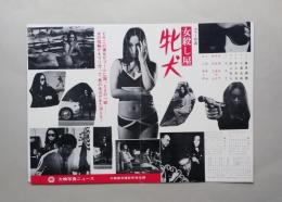 映画プレスシート　女殺し屋　牝犬　江波杏子　解説共２枚　1969年 
