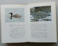 秋田の野鳥百科　秋田県の主な野鳥の生息地 生態　献呈本、著者署名　使用感アリ