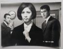 映画スチール写真1枚　日活　艶歌　渡哲也／松原智恵子　1968年　