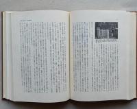 幽霊・妖怪考　模索の人生学　　
