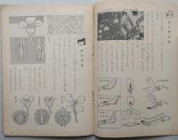 春の理科かんさつブック　昭和36年4年の学習 5月号第1付録　